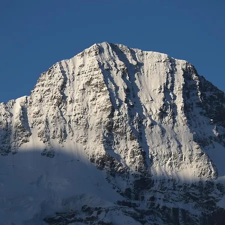 Ferienwohnung Finel Apartamento Mürren